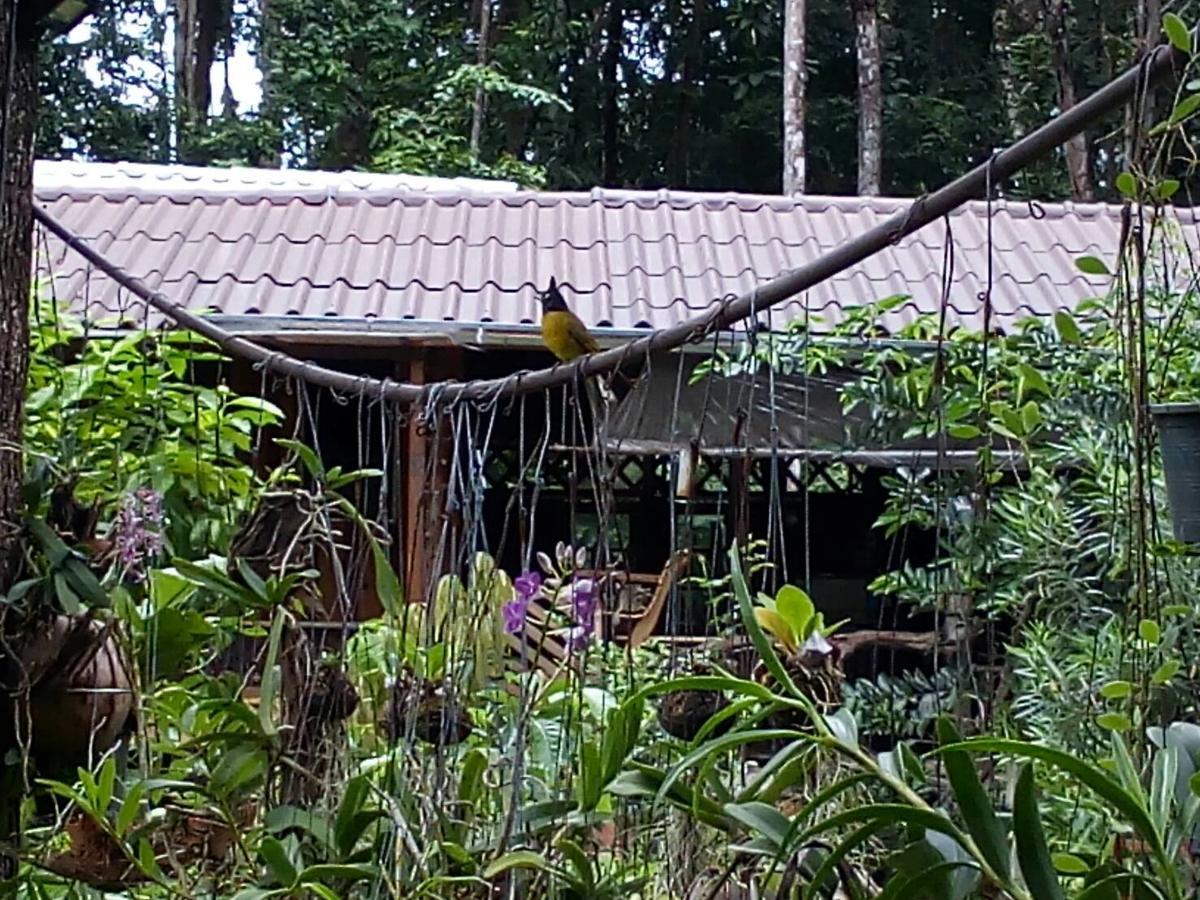 Hotel Koh Kood Little Hut Ko Kut Esterno foto