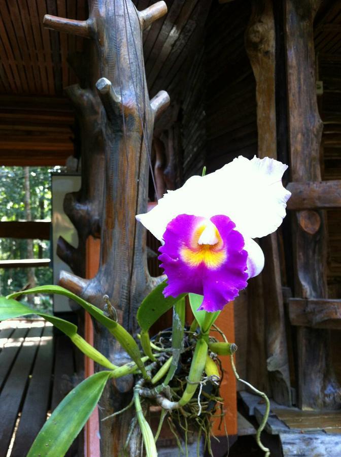 Hotel Koh Kood Little Hut Ko Kut Esterno foto