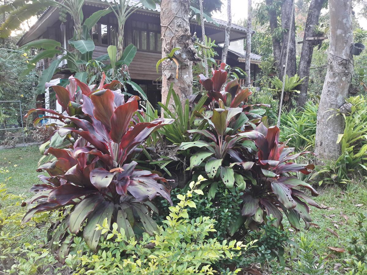 Hotel Koh Kood Little Hut Ko Kut Esterno foto